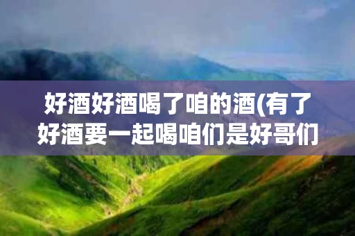 好酒好酒喝了咱的酒(有了好酒要一起喝咱们是好哥们儿)