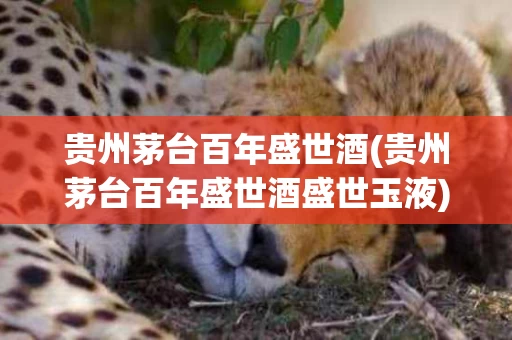 贵州茅台百年盛世酒(贵州茅台百年盛世酒盛世玉液)
