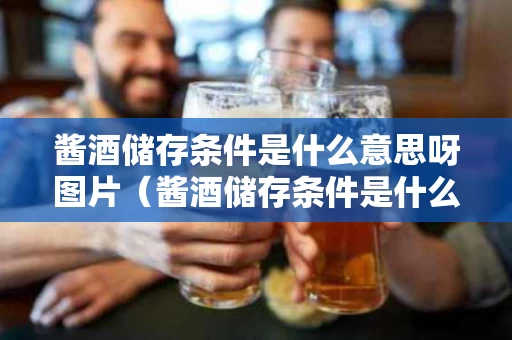 酱酒储存条件是什么意思呀图片（酱酒储存条件是什么意思呀图片大全）