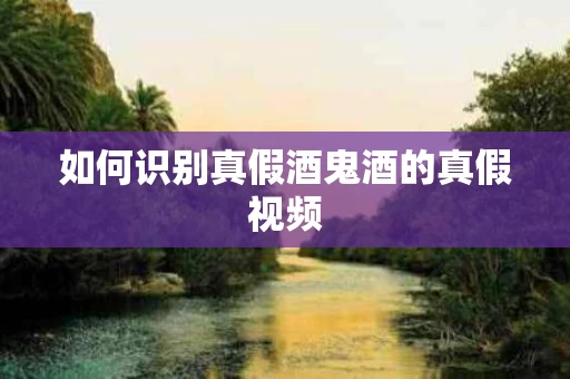 如何识别真假酒鬼酒的真假视频