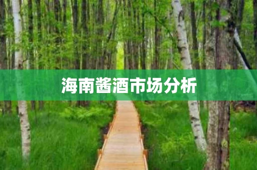 海南酱酒市场分析