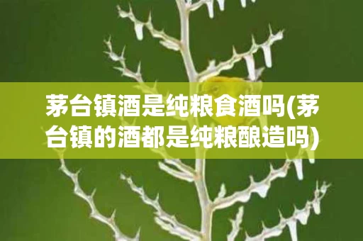 茅台镇酒是纯粮食酒吗(茅台镇的酒都是纯粮酿造吗)
