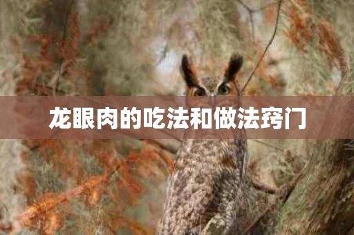 龙眼肉的吃法和做法窍门