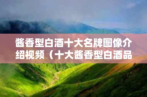 酱香型白酒十大名牌图像介绍视频（十大酱香型白酒品牌排名）