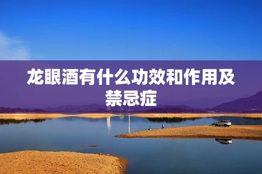 龙眼酒有什么功效和作用及禁忌症
