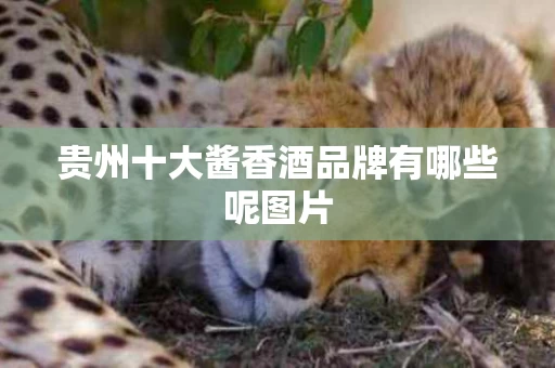 贵州十大酱香酒品牌有哪些呢图片