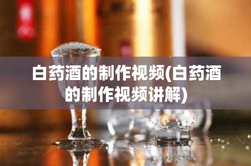 白药酒的制作视频(白药酒的制作视频讲解)
