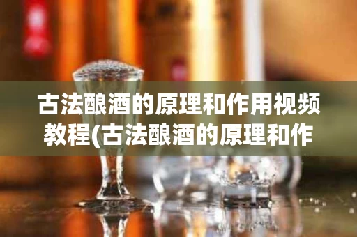 古法酿酒的原理和作用视频教程(古法酿酒的原理和作用视频教程讲解)