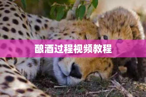 酿酒过程视频教程