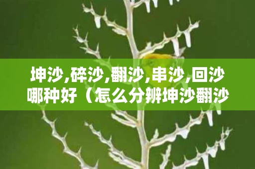 坤沙,碎沙,翻沙,串沙,回沙哪种好（怎么分辨坤沙翻沙碎沙串沙酒）