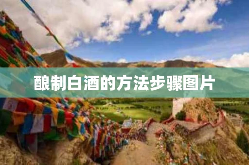 酿制白酒的方法步骤图片