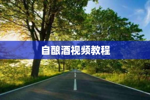 自酿酒视频教程