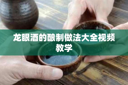 龙眼酒的酿制做法大全视频教学