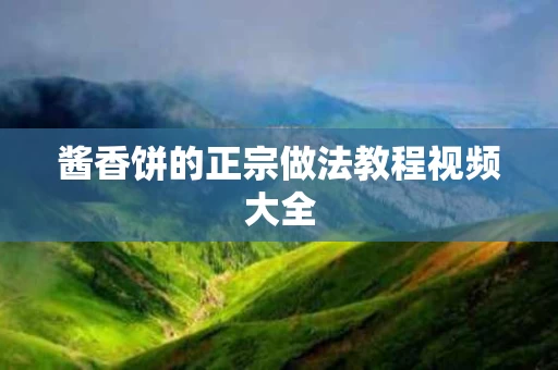酱香饼的正宗做法教程视频大全