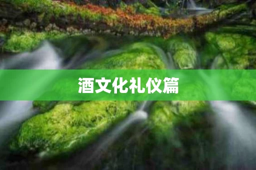 酒文化礼仪篇