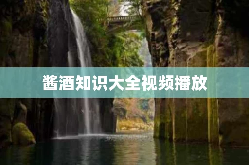 酱酒知识大全视频播放 酱酒知识大全视频播放