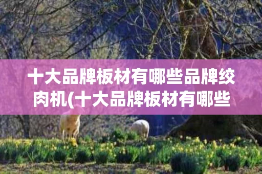 十大品牌板材有哪些品牌绞肉机(十大品牌板材有哪些品牌绞肉机的)