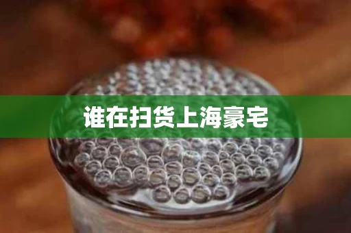 谁在扫货上海豪宅 谁在扫货上海豪宅