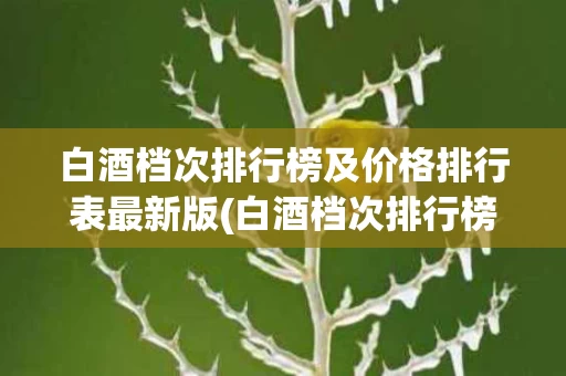 白酒档次排行榜及价格排行表最新版(白酒档次排行榜及价格排行表最新版下载)