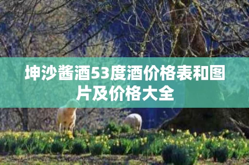 坤沙酱酒53度酒价格表和图片及价格大全