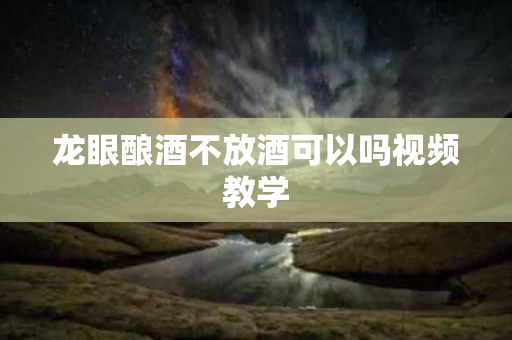 龙眼酿酒不放酒可以吗视频教学