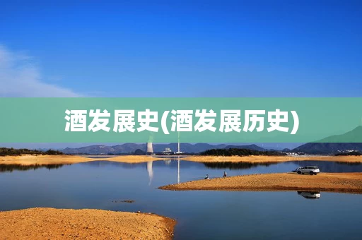 酒发展史(酒发展历史)