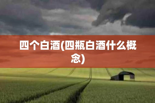 四个白酒(四瓶白酒什么概念)