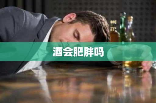酒会肥胖吗