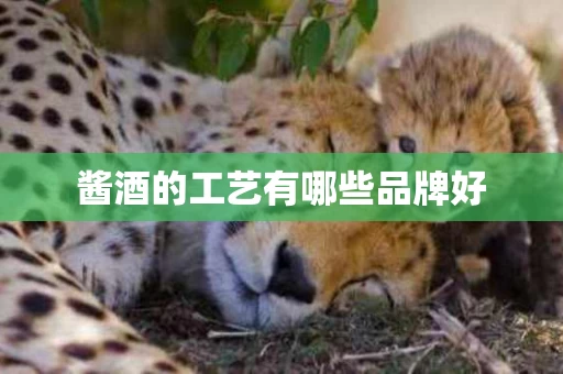 酱酒的工艺有哪些品牌好