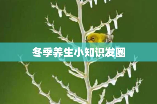 冬季养生小知识发圈