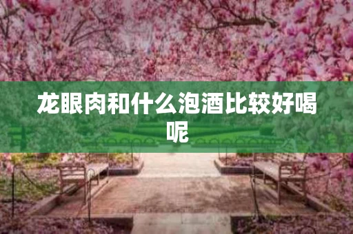 龙眼肉和什么泡酒比较好喝呢