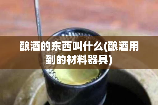 酿酒的东西叫什么(酿酒用到的材料器具)