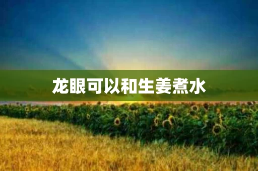龙眼可以和生姜煮水