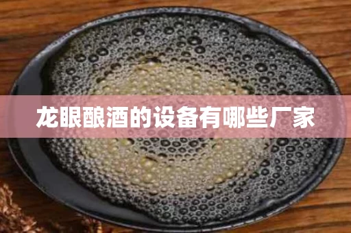 龙眼酿酒的设备有哪些厂家