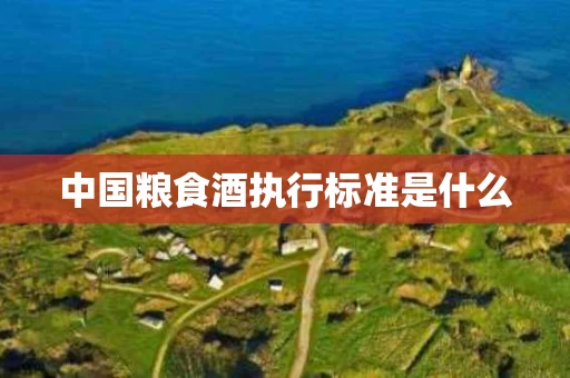 中国粮食酒执行标准是什么