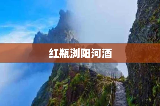 红瓶浏阳河酒