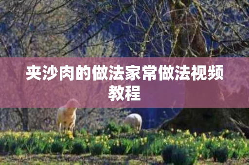 夹沙肉的做法家常做法视频教程