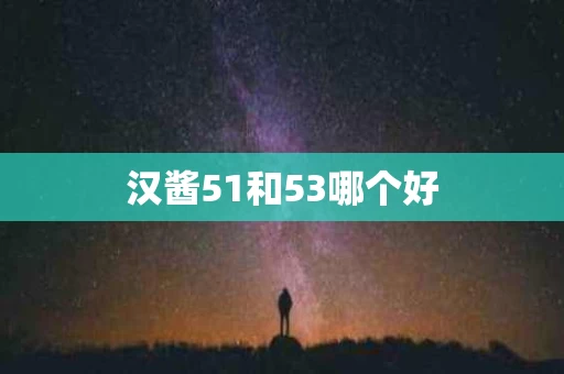 汉酱51和53哪个好