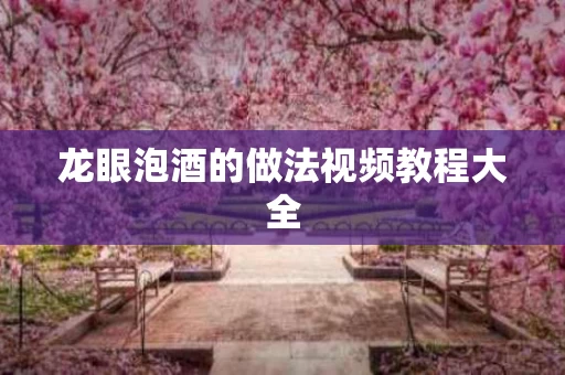 龙眼泡酒的做法视频教程大全