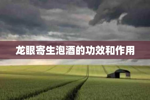 龙眼寄生泡酒的功效和作用