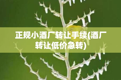 正规小酒厂转让手续(酒厂转让低价急转)
