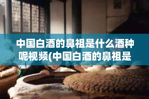 中国白酒的鼻祖是什么酒种呢视频(中国白酒的鼻祖是谁)