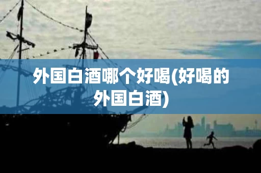 外国白酒哪个好喝(好喝的外国白酒)