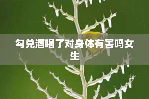 勾兑酒喝了对身体有害吗女生
