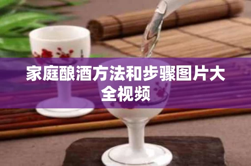 家庭酿酒方法和步骤图片大全视频