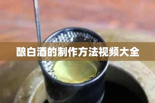 酿白酒的制作方法视频大全