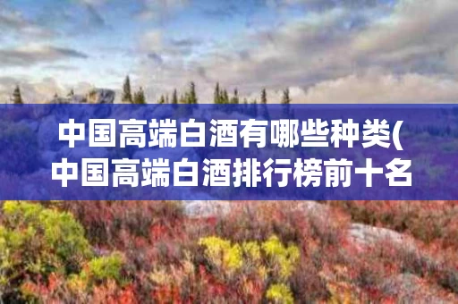 中国高端白酒有哪些种类(中国高端白酒排行榜前十名)
