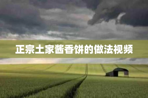 正宗土家酱香饼的做法视频