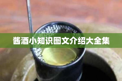 酱酒小知识图文介绍大全集