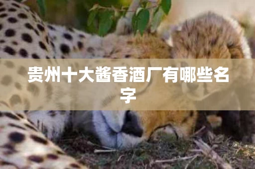 贵州十大酱香酒厂有哪些名字